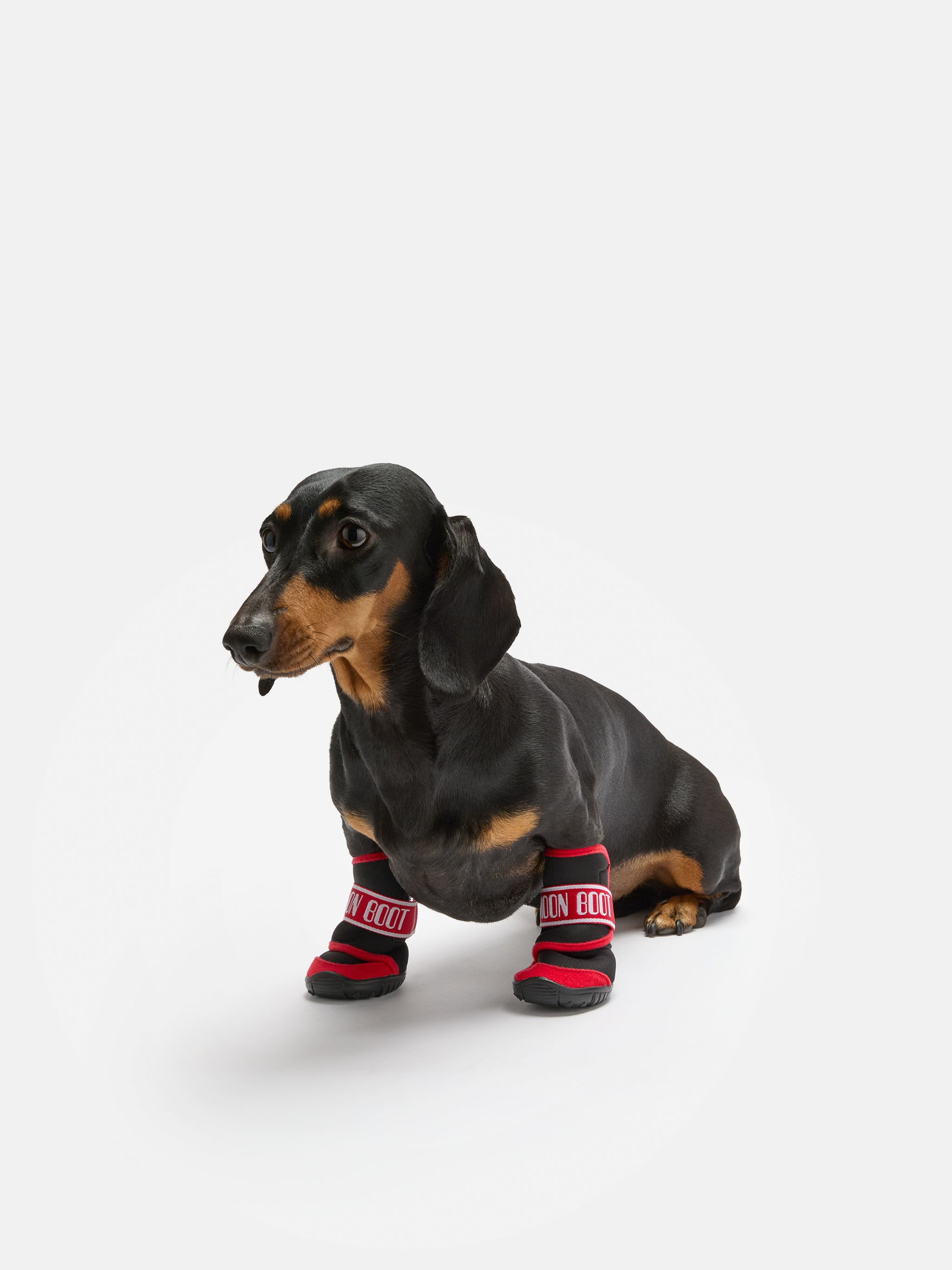 MOON BOOT X POLDO DOG COUTURE RÖDA HUNDSTÖVLE