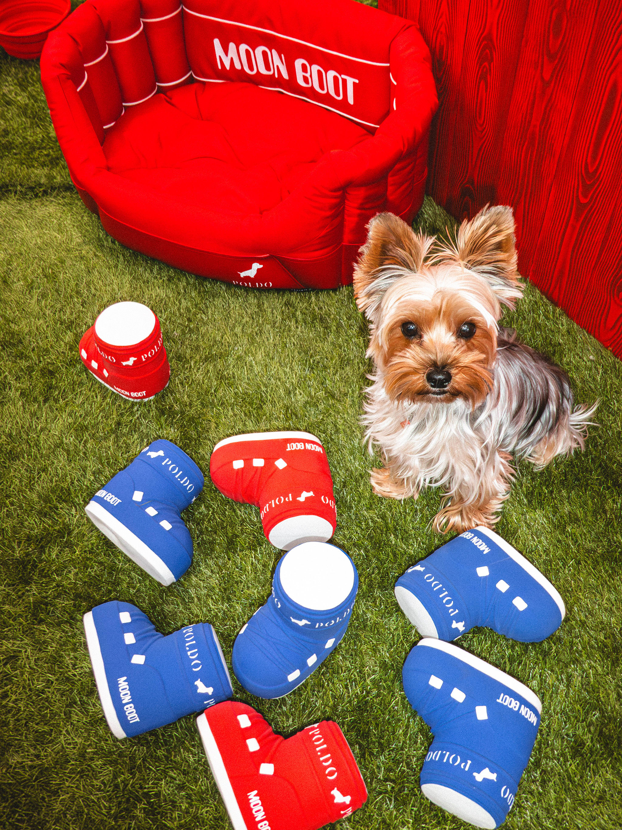 MOON BOOT X POLDO DOG COUTURE RÖD MATTAD HUNDMATTA